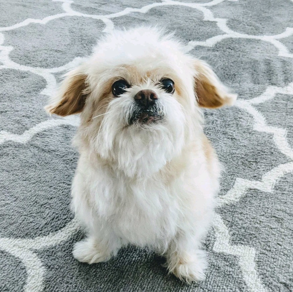 Meet your Posher, Mary